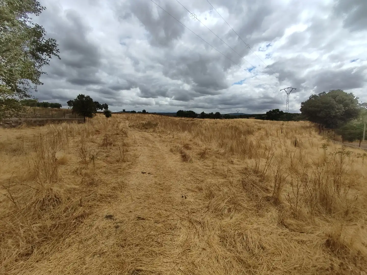 Terreno rustico in vendita a Burguillos del Cerro