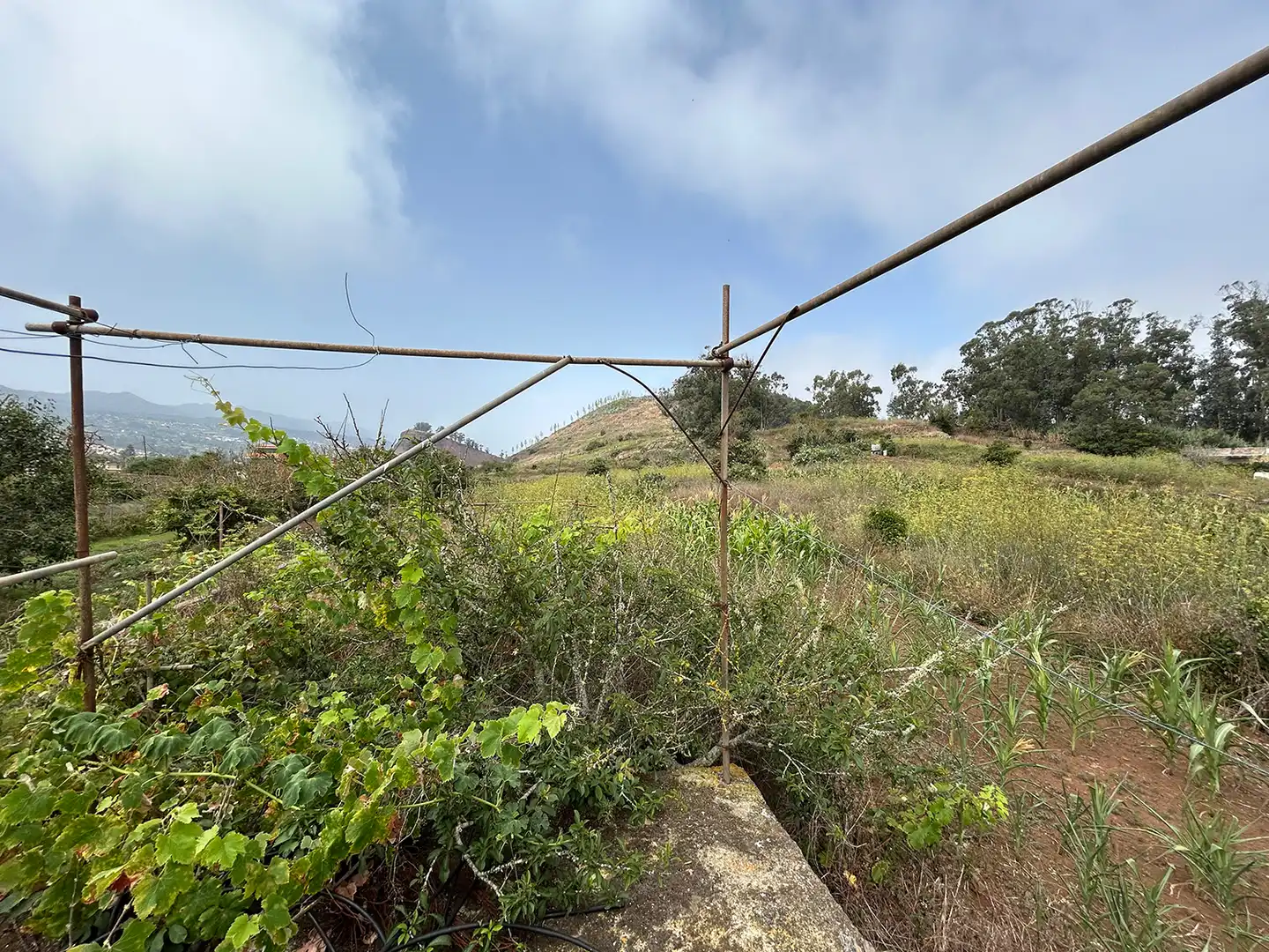Country homes for sale in San Cristóbal de la Laguna