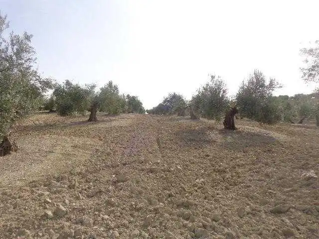 Land for sale in C/ Polígono 3 y 5 , Lahiguera