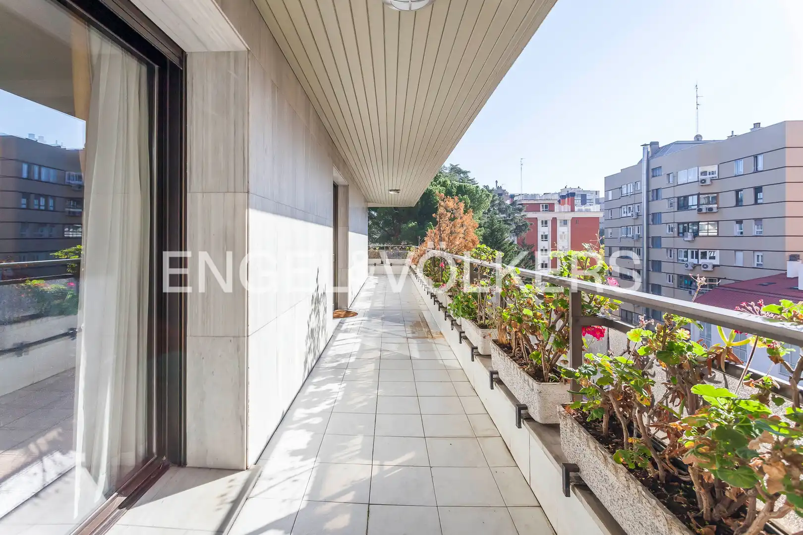 Flat for rent in Nueva España