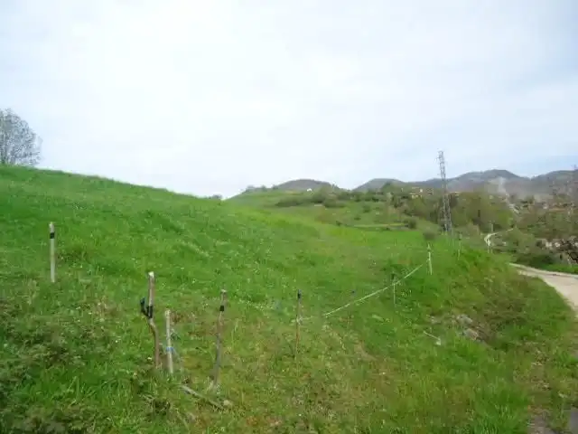 Rustikales Grundstück zum Verkauf in NARCIANDI, imagen 5