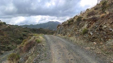 Terreno Cerca del popular pueblo de Monda., immagine 2