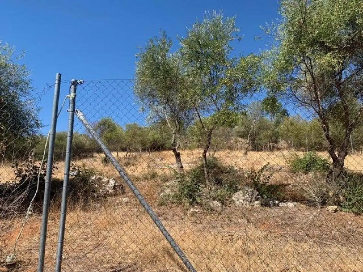 Residential land for sale in Almodóvar del Río, imagen 3
