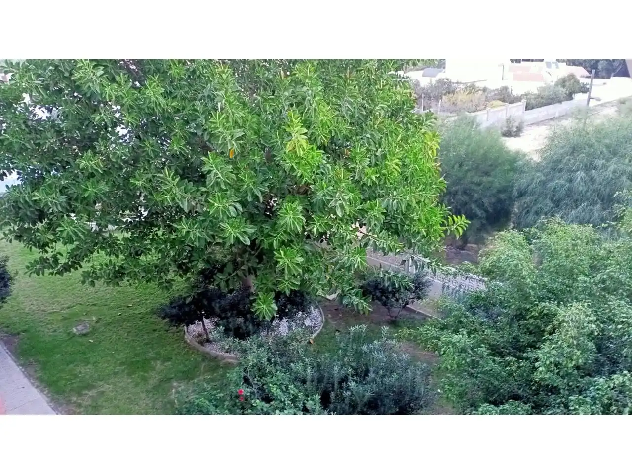 Apartament amb terrassa en venda a Roquetas de Mar ciudad, imagen 29
