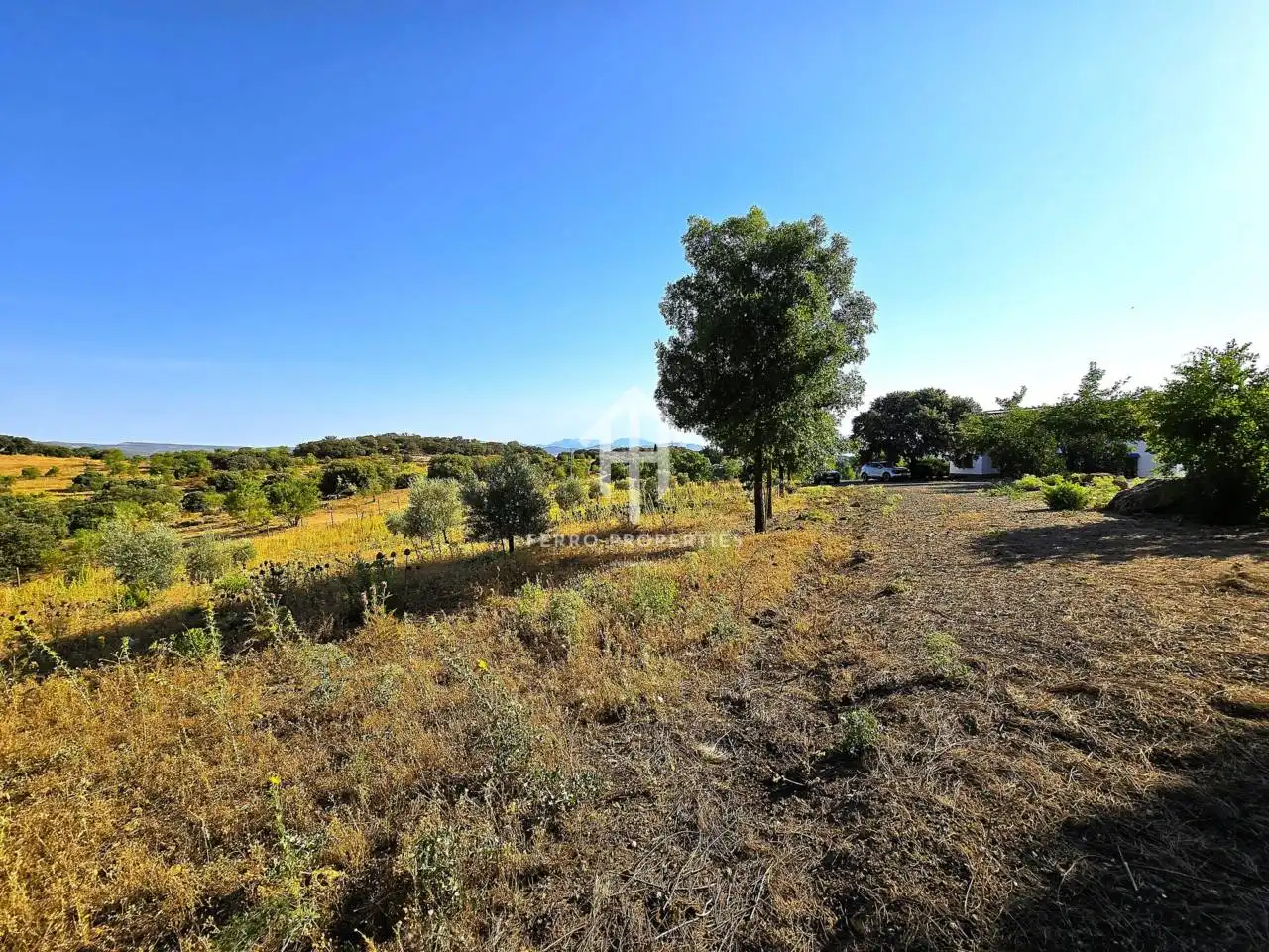 Chalet con jardín en venta en Calle Puerto los Claveles, imagen 40
