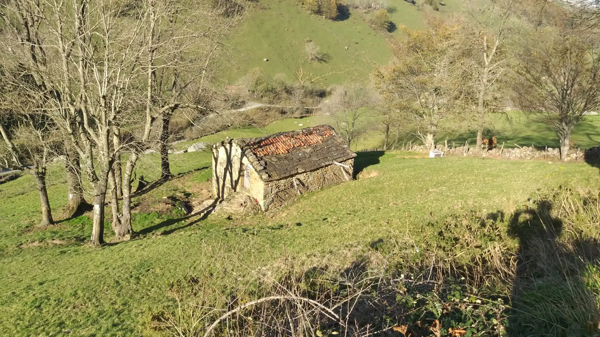 Vista exterior de Casa o chalet en venta en Soba con Jardín privado
