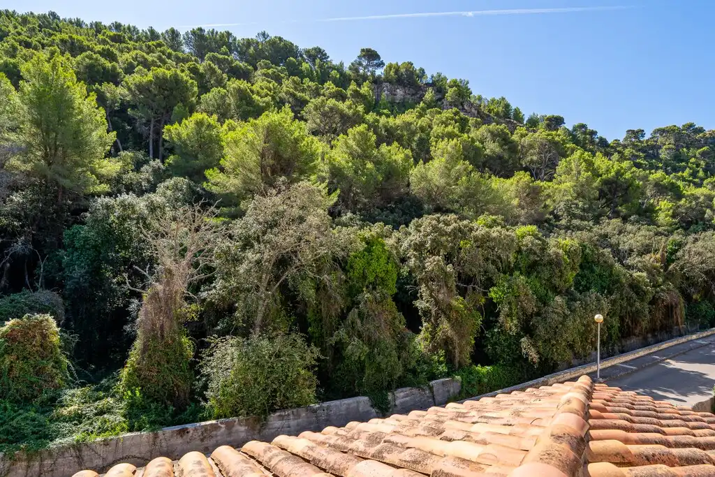Vista exterior de Casa o chalet en venta en Pollença Poble