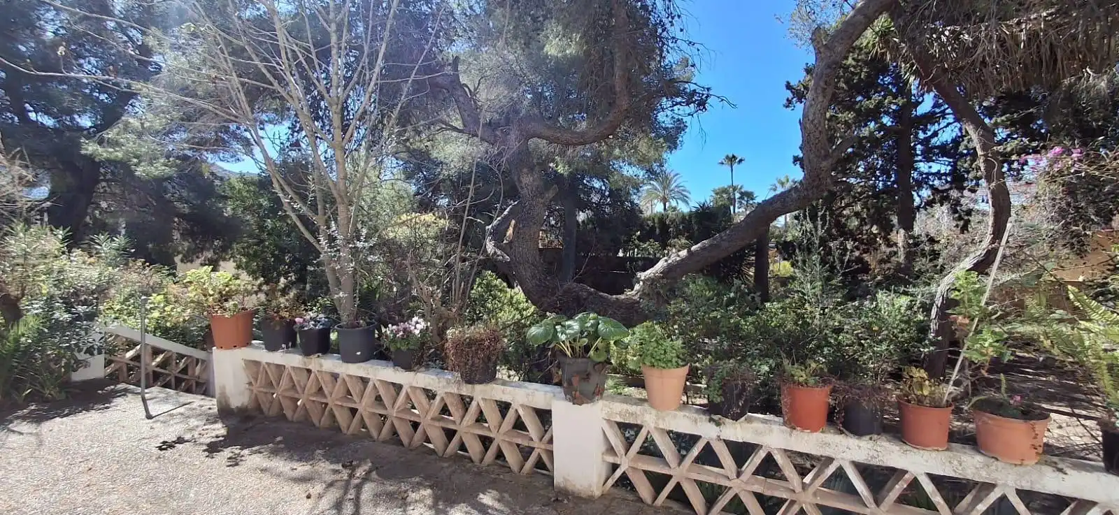 Garden of Country homes for sale in Benidorm  with Private garden, Terrace and Storage room