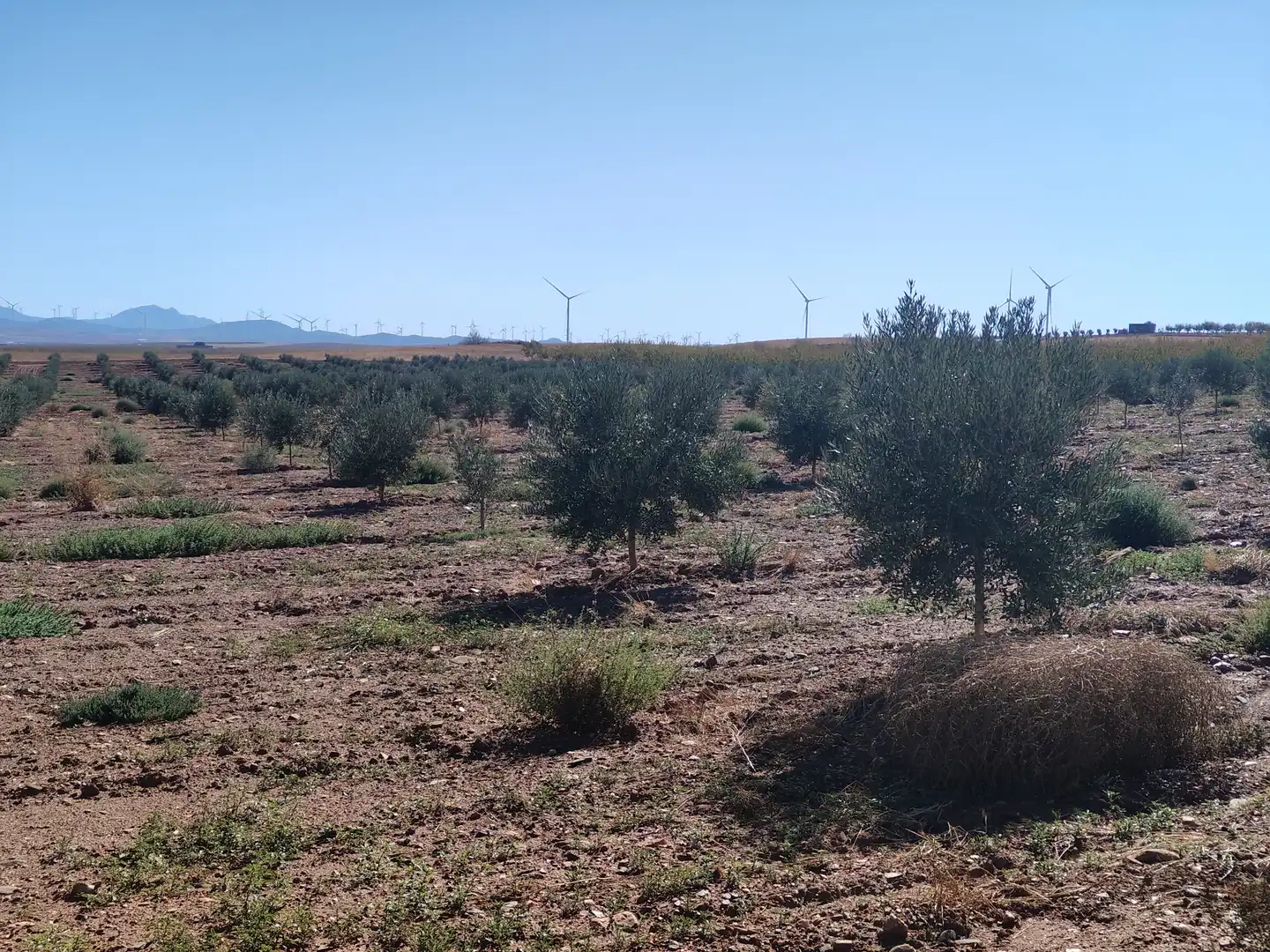 Terreno rustico in vendita a N/A, imagen 17