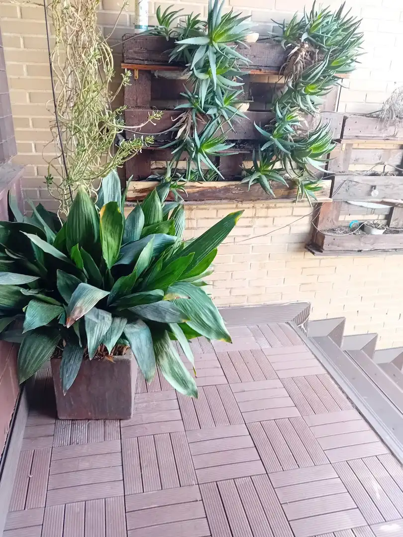 Terraza de Casa o chalet en venta en Ciudad Real con Calefacción, Terraza y Trastero