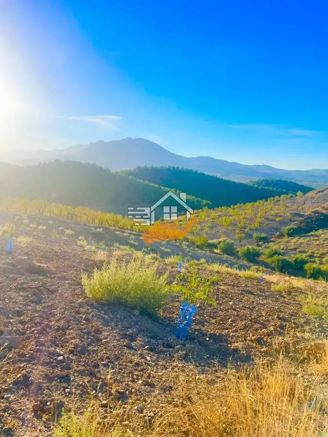 Country house for sale in Vélez-Rubio, imagen 6