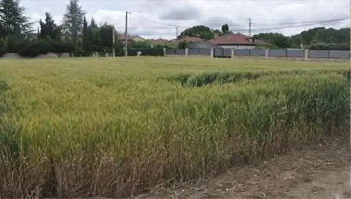 Terreny rústic en venda a Poligono2, imagen 9