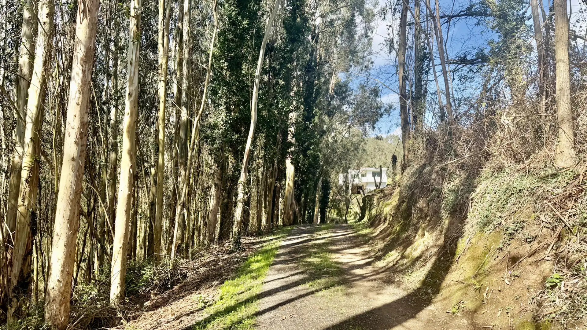 Exterior view of Houses for sale in Hazas de Cesto