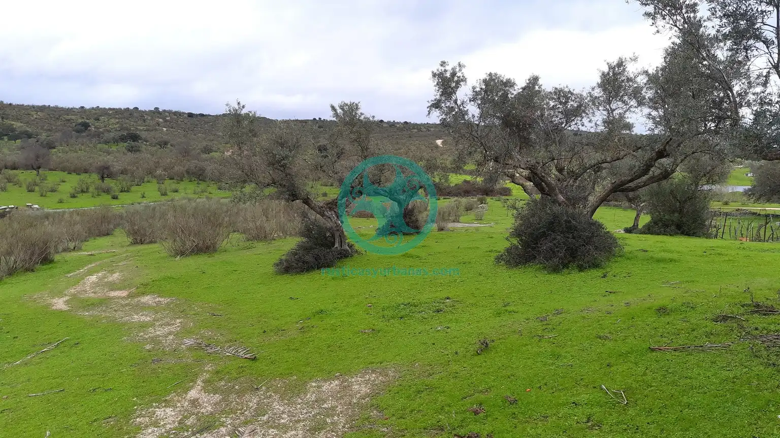 Terreno en venta en Mata de Alcántara