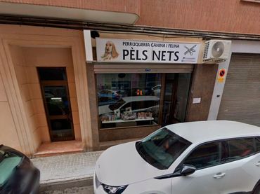 Gewerbefläche zur Miete in Xàtiva