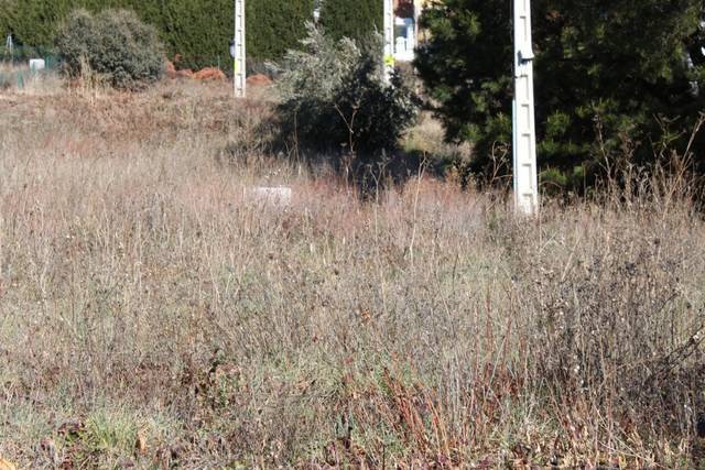 Terreno residencial en Venta en Urbanización Patricia - Campo