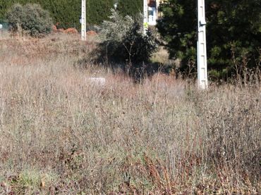 Terreno residenziale in vendita a Urbanización Patricia - Campo