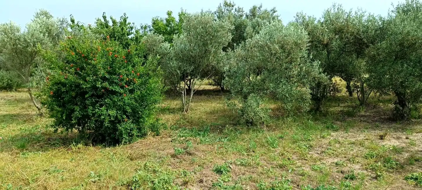 Finca rústica en venta en Mendavia con Jardín privado