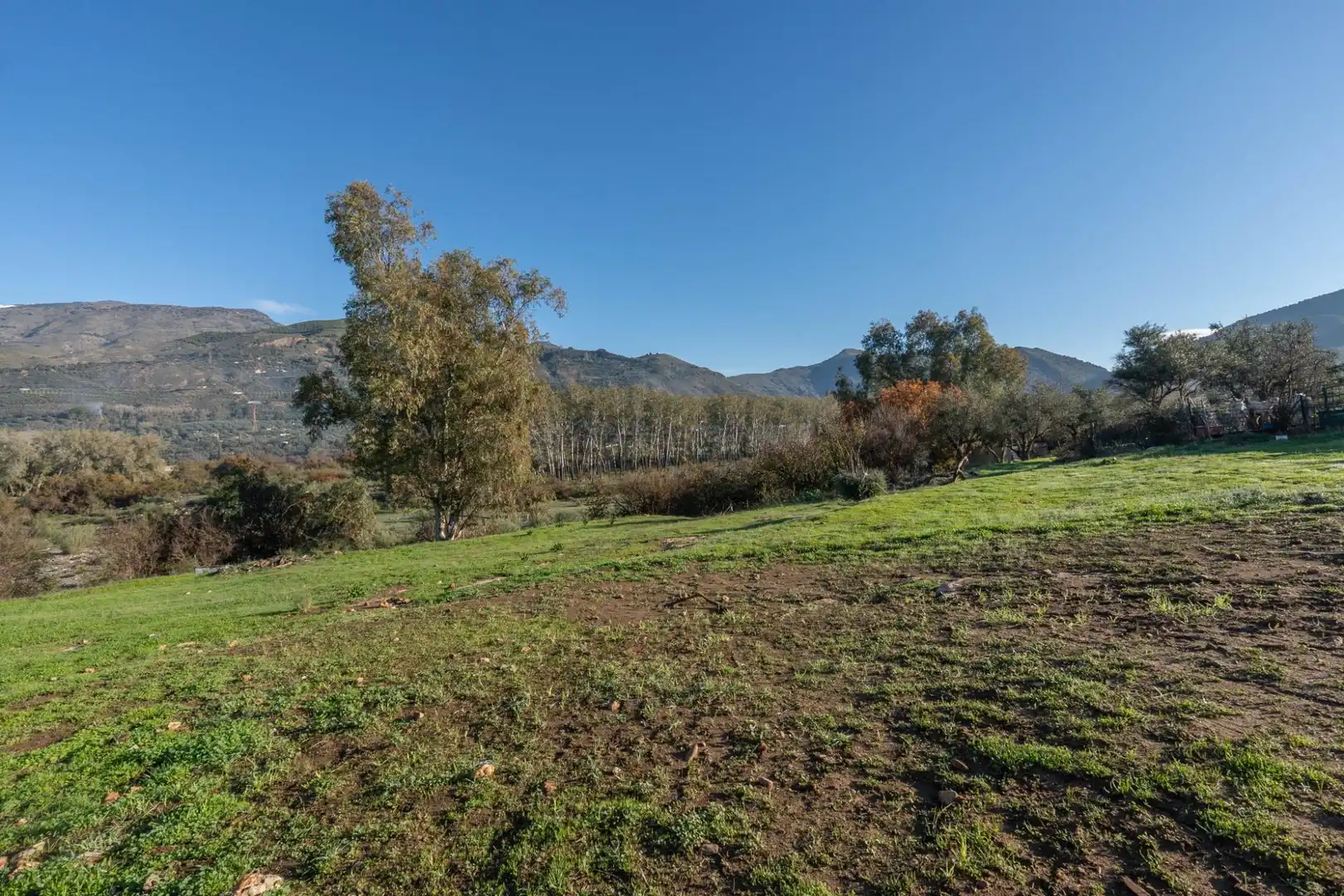 Rural land for sale in Órgiva, imagen 20
