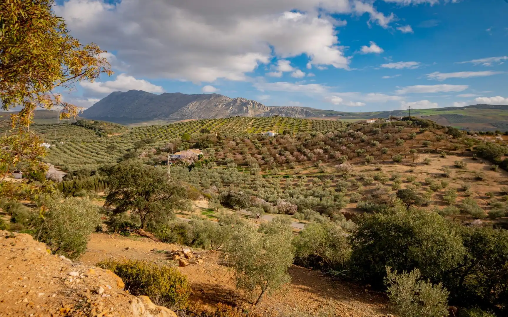 Jardín de Finca rústica en venta en Antequera
