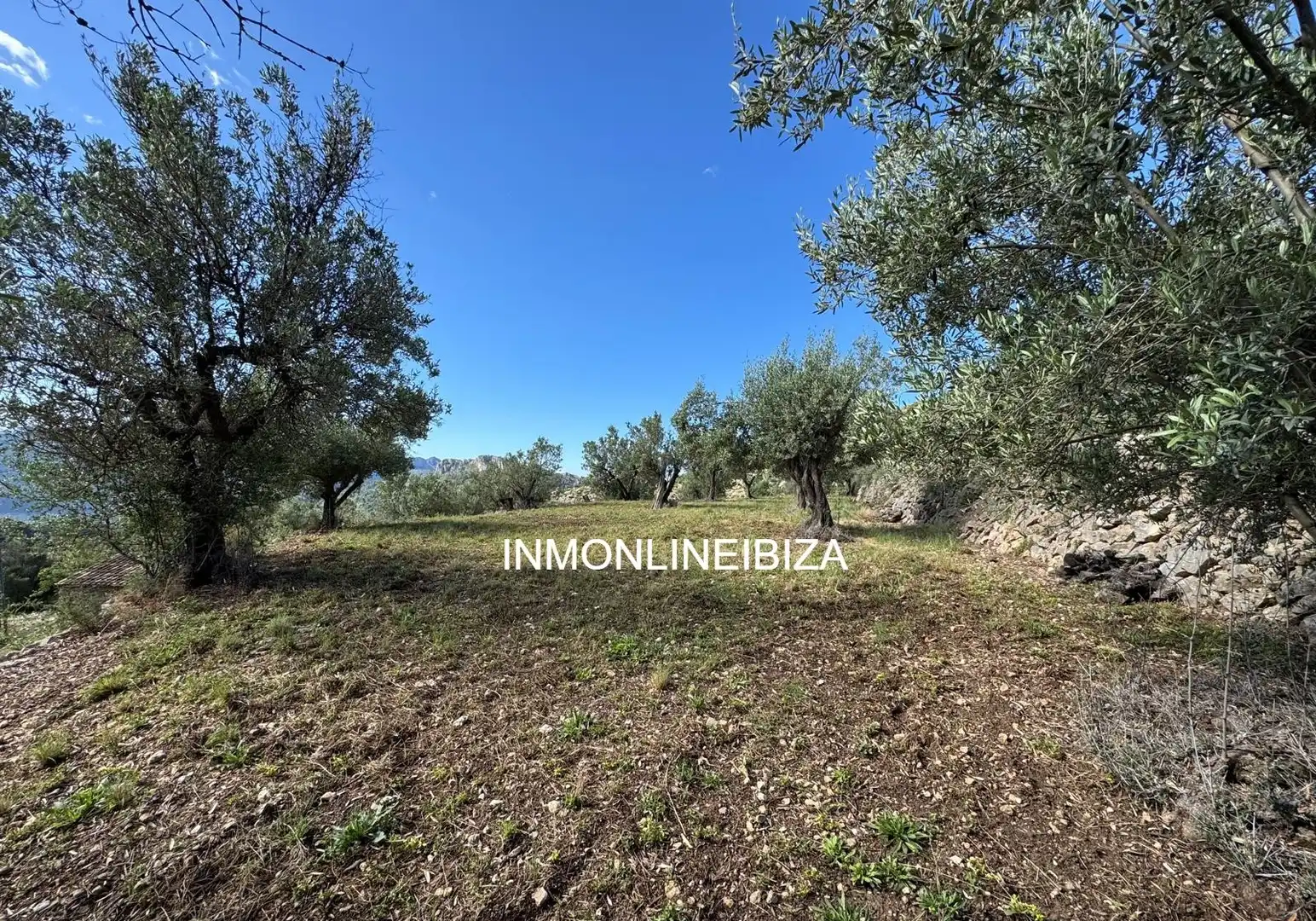 Land for sale in Tàrbena