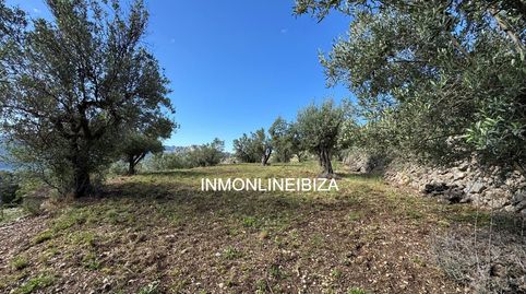 Foto 5 de Terreno en venta en Parelles, Tàrbena, Alicante