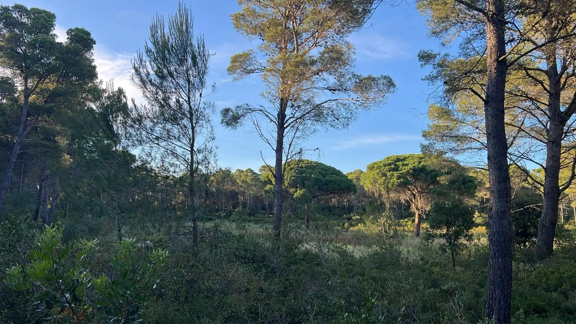 Villa con piscina in vendita a BARCELONA 35