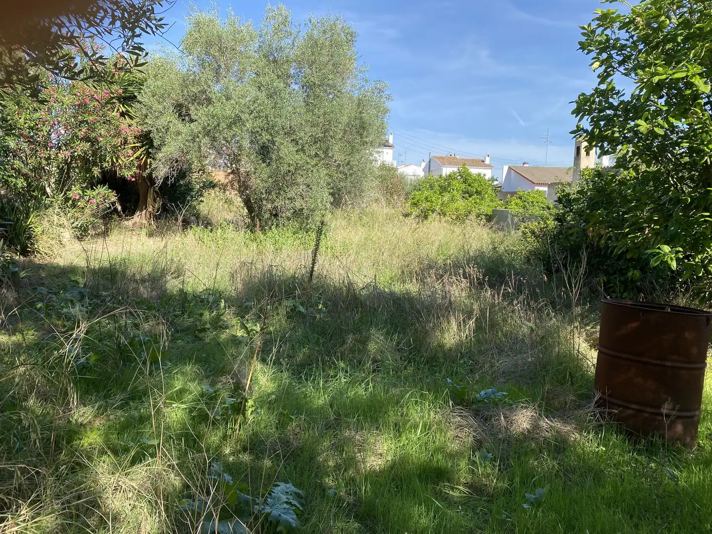 Terreno residencial en venta en Albinyana, imagen 5