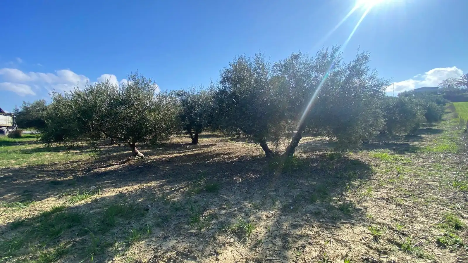 Terreni e lotti in vendita a Centro