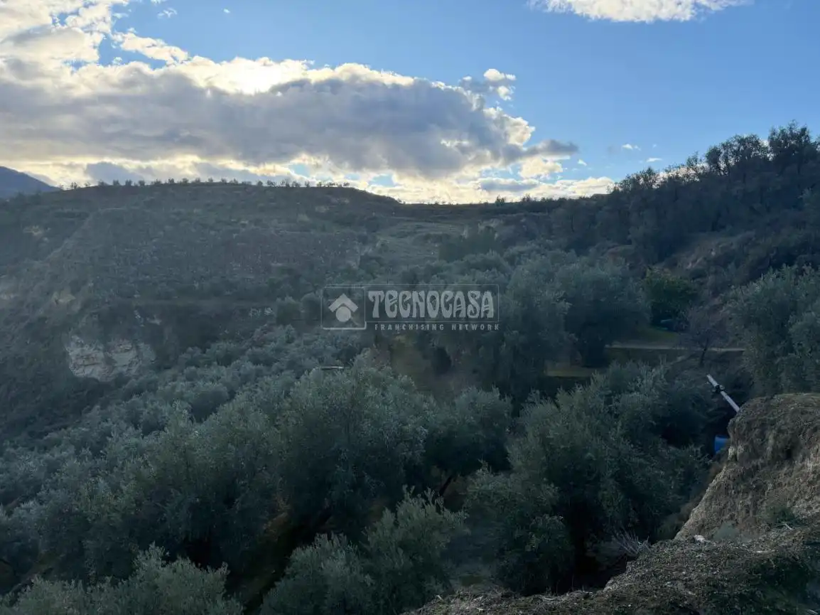 Terreno rustico in vendita a El Valle, imagen 21