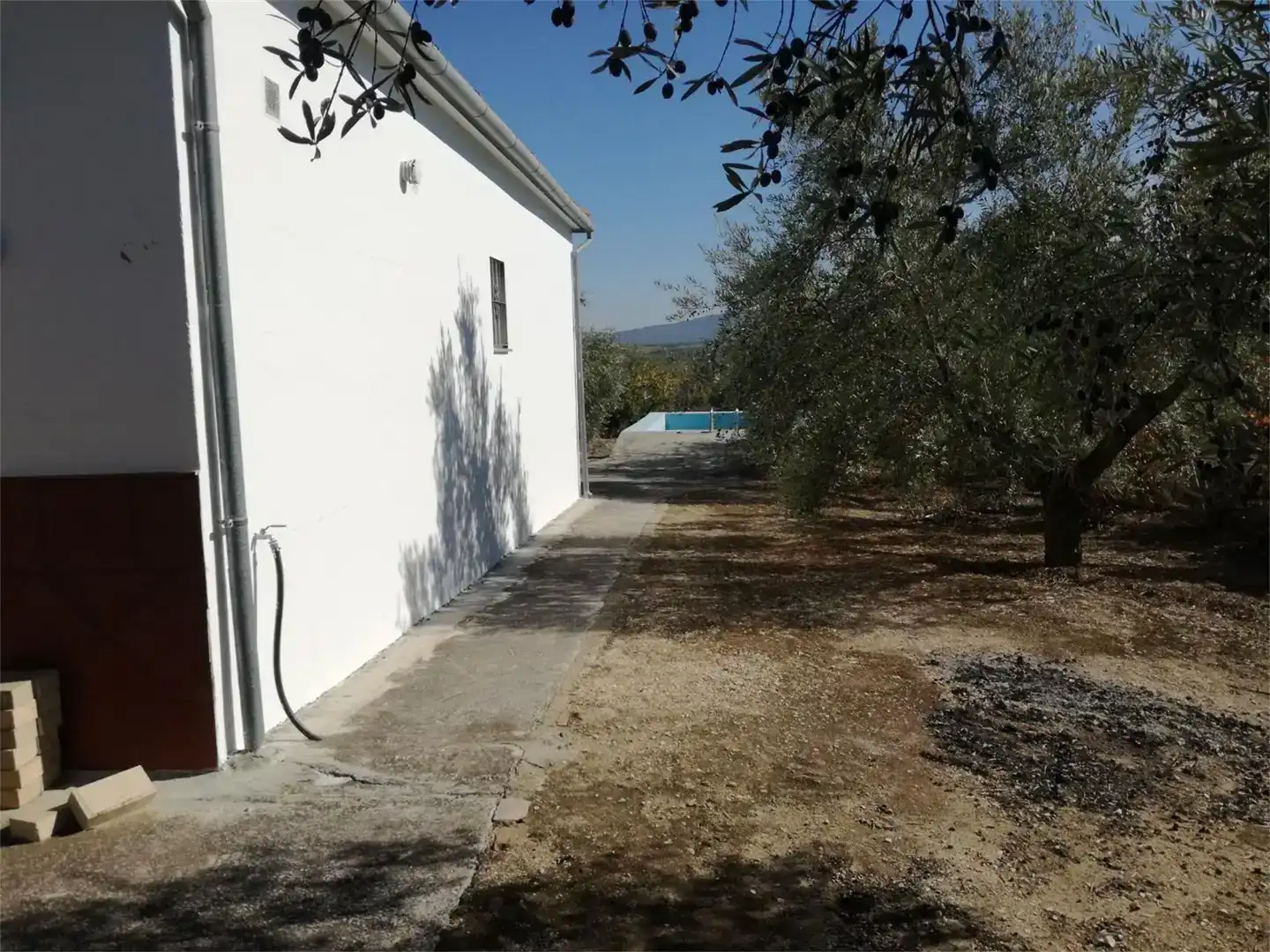 Piscina de Casa o chalet en venta en Montilla con Jardín privado, Trastero y Piscina