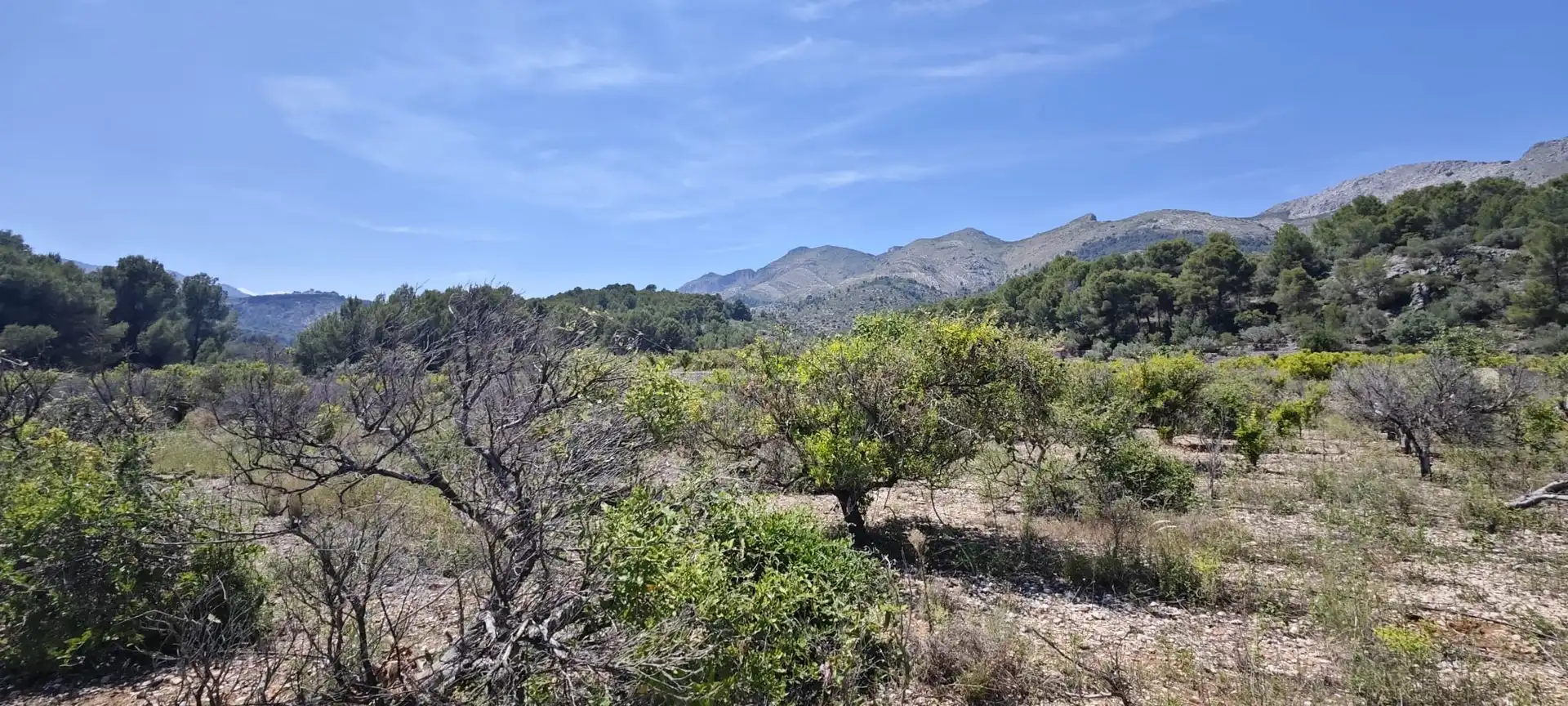 Residential land for sale in Tormos, imagen 42