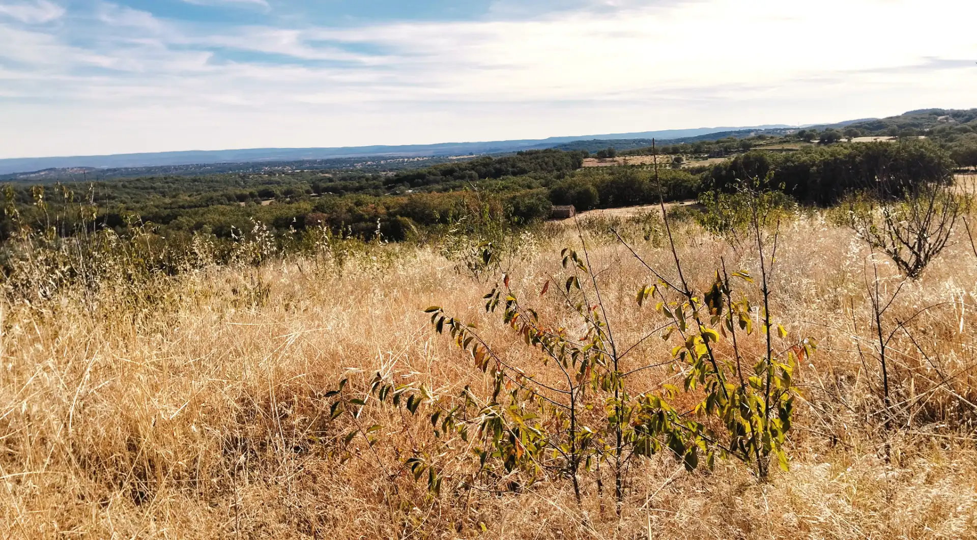 Terrain rustique à vendre à Avenida Extremadura 72, imagen 4