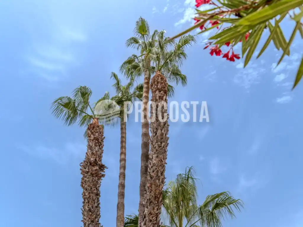 Haus mit Pool zum Verkauf in Avenida los Pinos, imagen 50