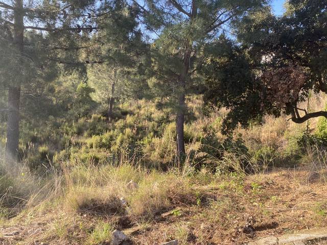 Terreno residencial en Venta en Calle Perdiu, 38 en Riudarenes