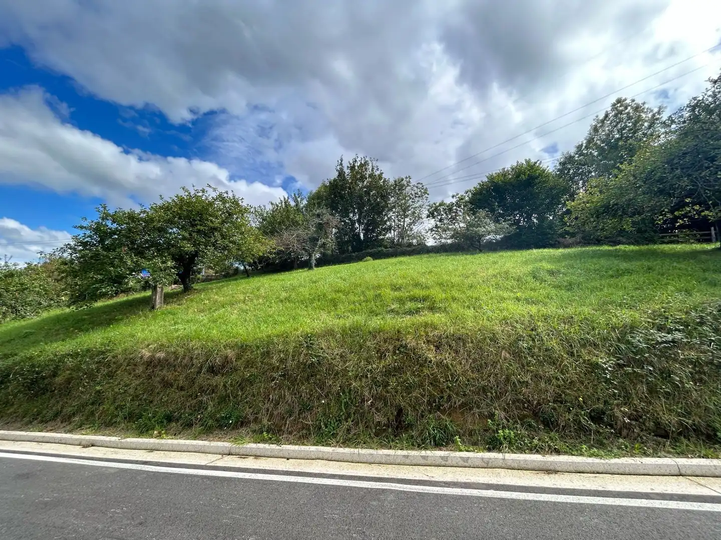 Terreno rústico en venta en Piloña, imagen 4