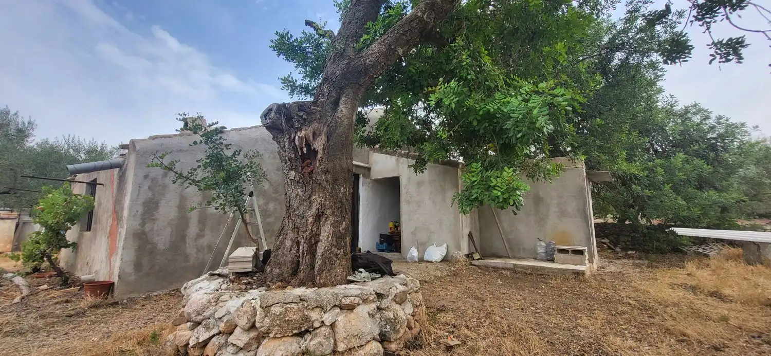 Casa rustica in vendita a Partida Clot de l`Olivera, imagen 2