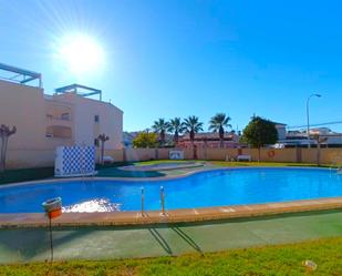 Swimming pool of Planta baja for sale in Torrevieja  with Terrace and Balcony