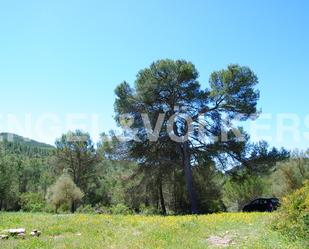 Finca rústica en venda en Olivella amb Aire condicionat i Calefacció