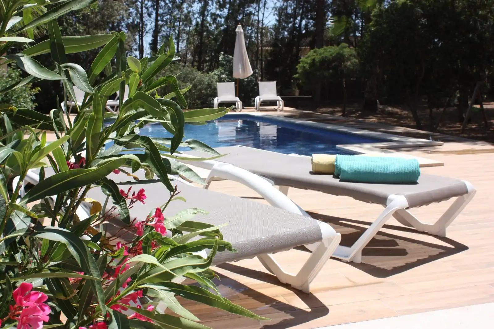 Piscina de Casa o chalet en venta en Santa Margalida con Aire acondicionado, Jardín privado y Terraza