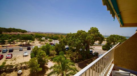 Foto 2 de Pis de lloguer a El Moncayo - El Pòrtic, Guardamar del Segura