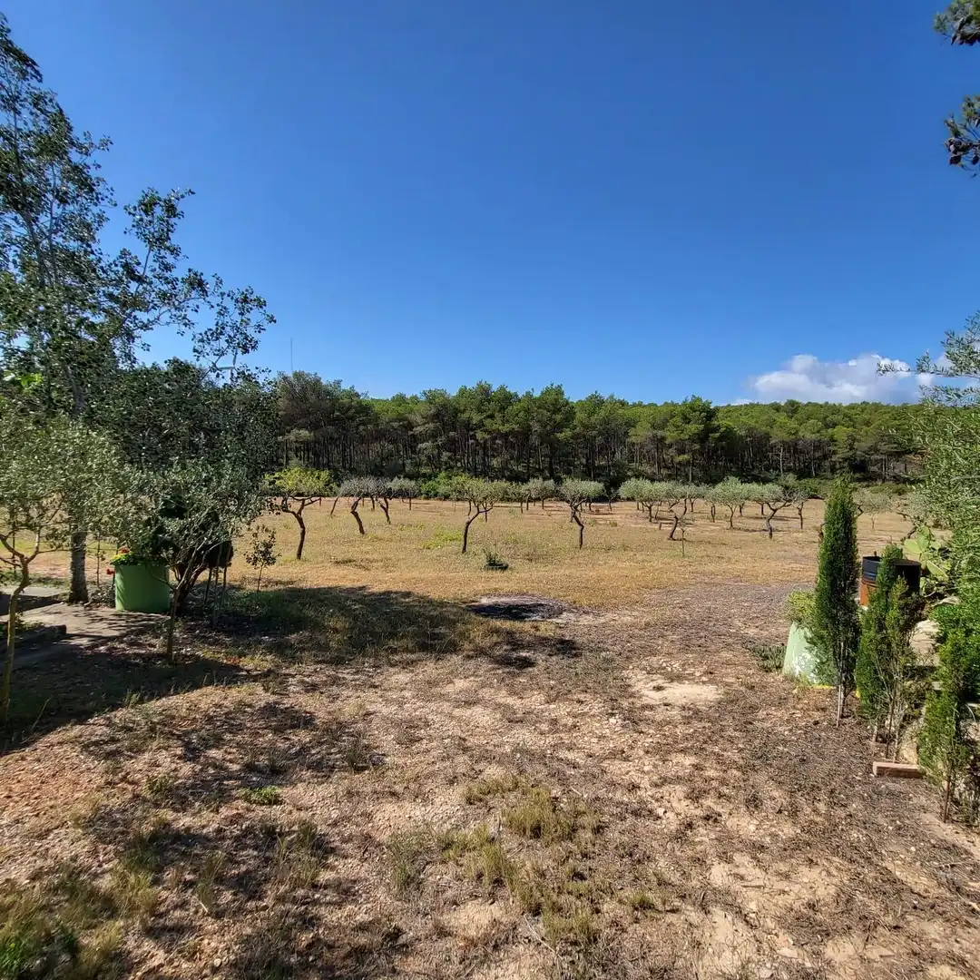 Casa rústica con piscina en venta en El Perelló, imagen 35