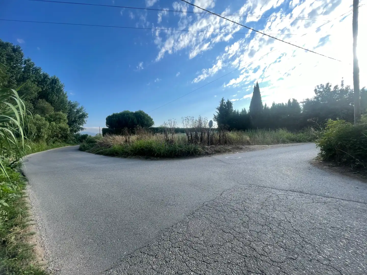 Rural land for sale in Balaguer, imagen 5