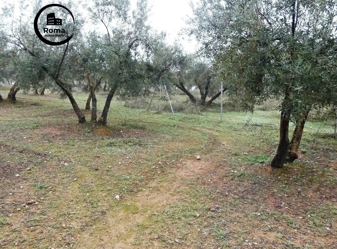 Terrain rustique à vendre à Peligros, imagen 20