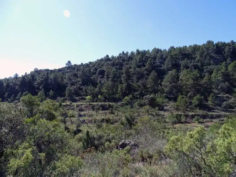 Finca rústica en venta en Beceite