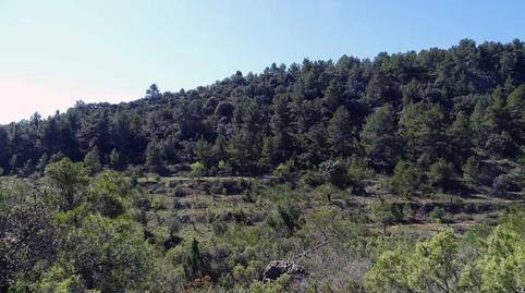 Foto 4 de Finca rústica en venta en Beceite, Teruel