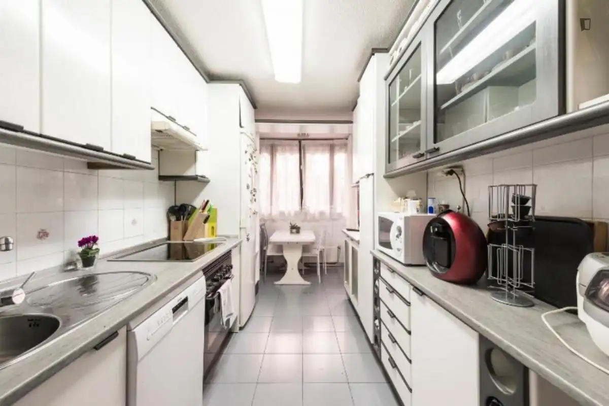 Kitchen of Apartments for rent in Madrid  with Air Conditioner, Heating and Furnished