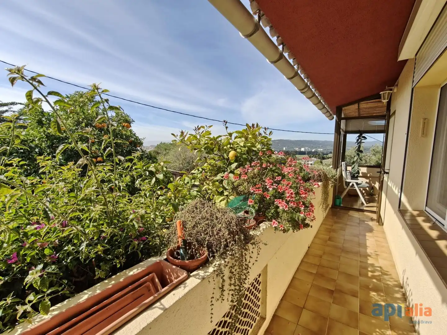 Casa o chalet en venta en Carrer Alguer, Puig Ses Forques - Torre Colomina