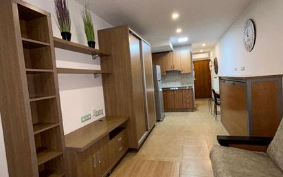 Kitchen of Study to rent in  Murcia Capital  with Air Conditioner