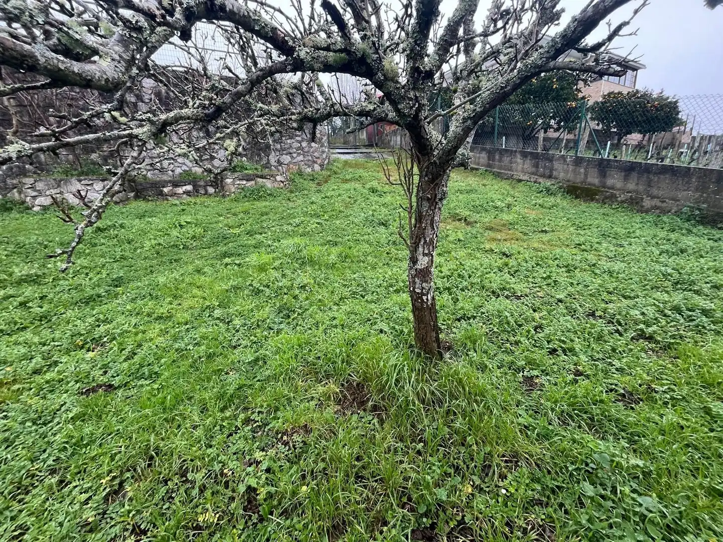 Casa o chalet en venta en O Francés, Paderne